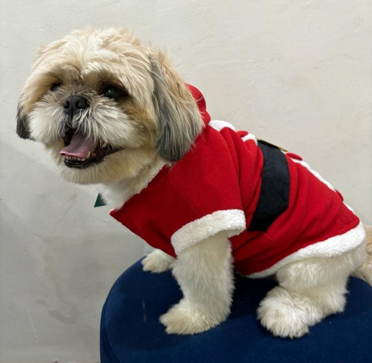 Christmas Hoddy Stylish Sweater For Your Pet’s Winter Wardrobe Made From 100% Knitted Cotton, It Is Super Soft And Lightweight On Your Pet's Skin. For Dogs And Cats (Small, Medium)