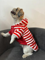 Stylish and cutest sweater for your Pet’s Winter Wardrobe with a Star Logo. Made from 100% Knitted Cotton, it is super soft and lightweight on your pet's skin. Available in Red and Blue Colour.