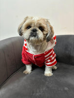 Stylish and cutest sweater for your Pet’s Winter Wardrobe with a Star Logo. Made from 100% Knitted Cotton, it is super soft and lightweight on your pet's skin. Available in Red and Blue Colour.