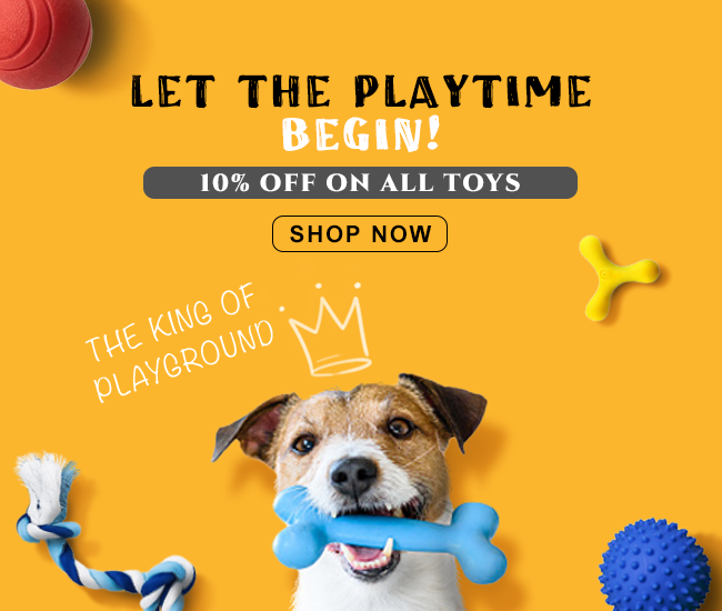 https://www.ohmypet.in/cdn/shop/files/mobile-banner-toy.png?v=1658604687