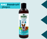 BASIL SHAMPOO Anti Itch Shampoo (Anti Dandruff) 250Ml