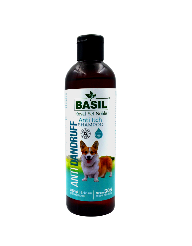 BASIL SHAMPOO Anti Itch Shampoo (Anti Dandruff) 250Ml