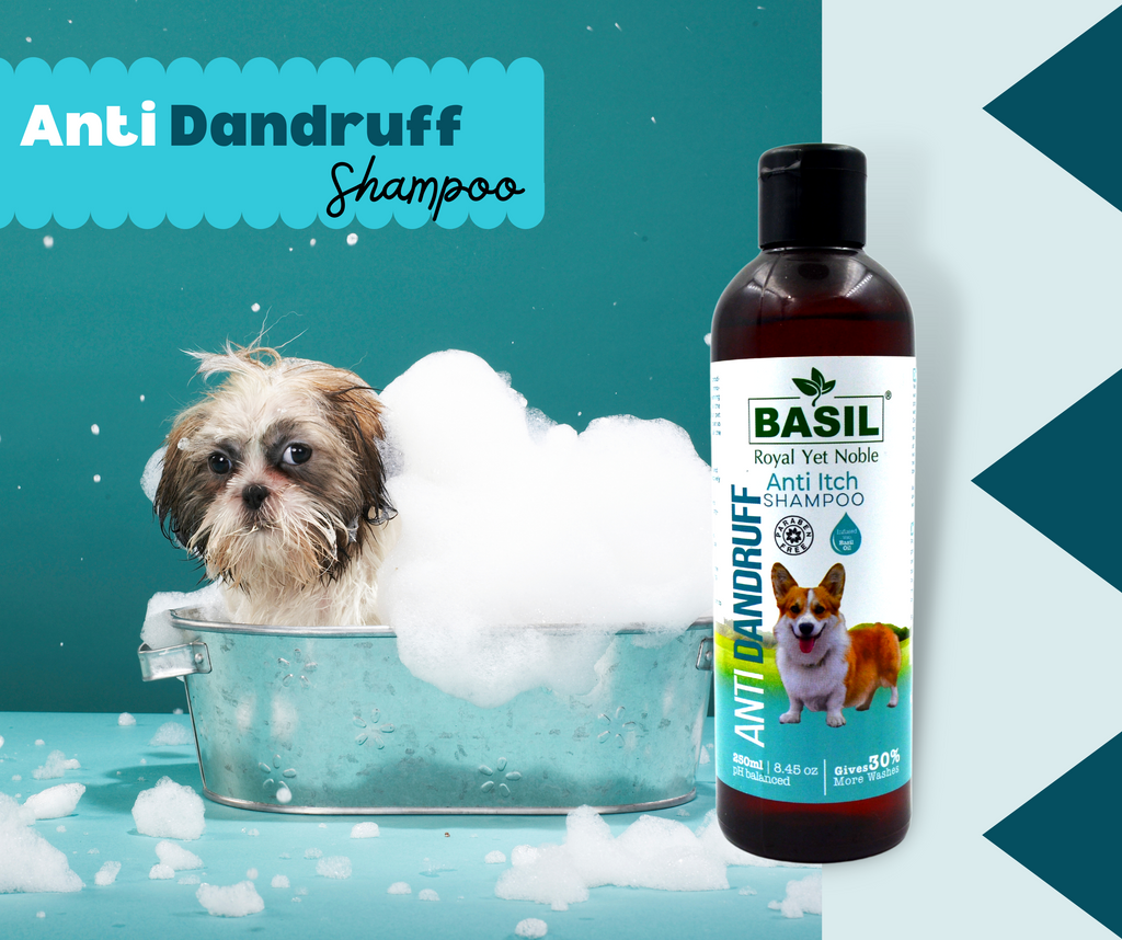 Anti dandruff top for dogs