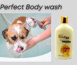 Oh My Dog Ultimate Dog Shampoo (Oatmeal & Itch Relief) -500ml