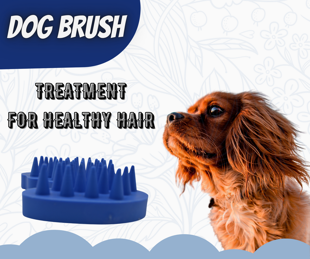 Easy groom cheap dog brush