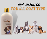 Oh My Dog Ultimate Dog Shampoo (Berry & Coconut) – 500ml