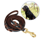 Dog Leash Braided Leather – Dog Training & Walking 10 Ft Leash (10 Feet, Brown)