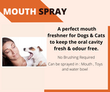 Basil Dog Mouth Freshening Spray Herbal (Cinnamon Flavor) 130 Ml Pet Mouth Freshener