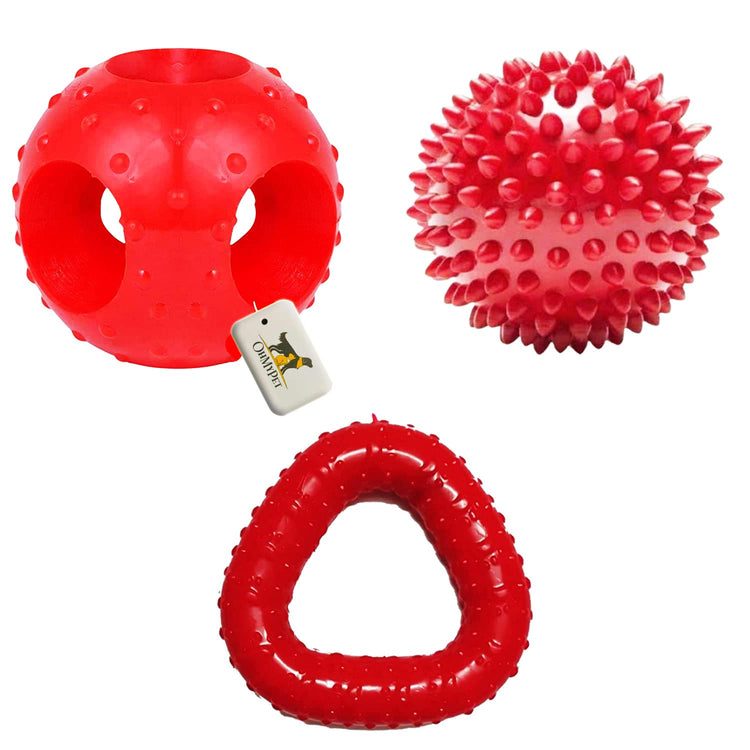 OH MY PET Non-Toxic Chew Toy Combo Dog Toy For Medium And Large Breeds Chew Toy Combo (Spike Ball + Trio Ring Chew)