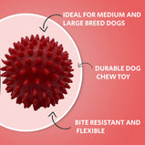 OH MY PET Non-Toxic Chew Toy Combo Dog Toy For Medium And Large Breeds Chew Toy Combo (Spike Ball + Hole Ball + Cotton Rope)