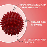 OH MY PET Non-Toxic Chew Toy Combo Dog Toy For Medium And Large Breeds Chew Toy Combo (Spike Ball + Trio Ring Chew)