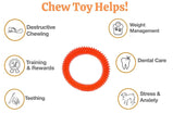 OH MY PET Rubber Chew Spike Ring Dog Toy – Color May Vary