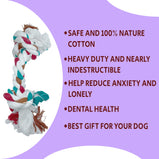 OH MY PET Non-Toxic Chew Toy Combo Dog Toy For Medium And Large Breeds Chew Toy Combo (Cotton Rope + Hard Squeaky Ball-Medium)