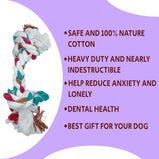 OH MY PET Non-Toxic Chew Toy Combo Dog Toy For Medium And Large Breeds Chew Toy Combo (Cotton Rope + Hard Squeaky Ball-Medium)