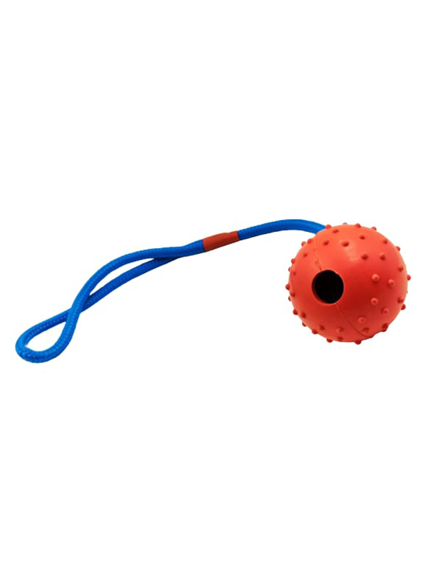 Pet Rubber Ball Rope Dog Chew Toy For Pets