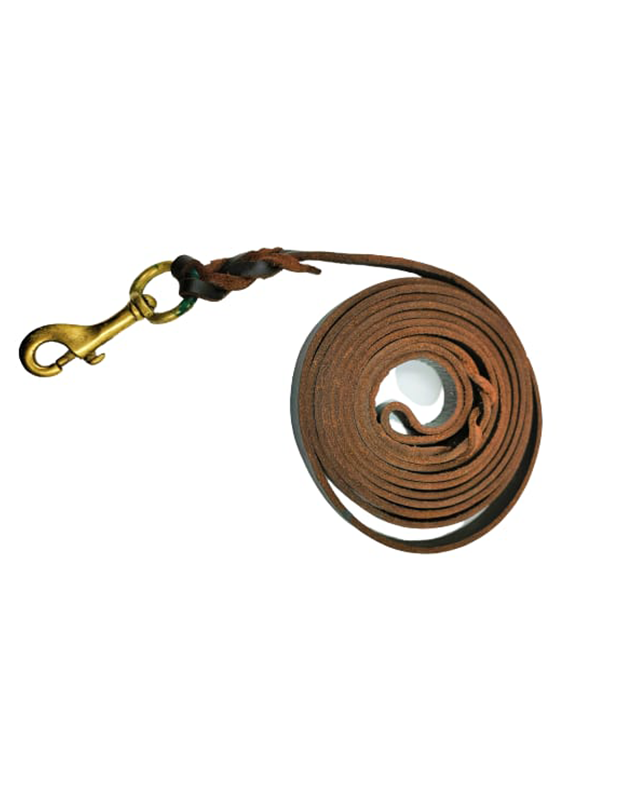 Dog Leash Braided Leather – Dog Training & Walking 10 Ft Leash (10 Feet, Brown)